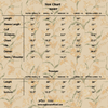 Ivory Flora 2-Piece Stitched Suit 2pcs stitch Suit
