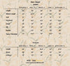 Zink Flora – Stylish Summer Suit for Women 2pcs stitch Suit